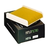 Воздушный фильтр Hiflo Filtro HFA2503 Воздушный фильтр Hiflo Filtro HFA2503